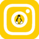 انستقرام البطريق